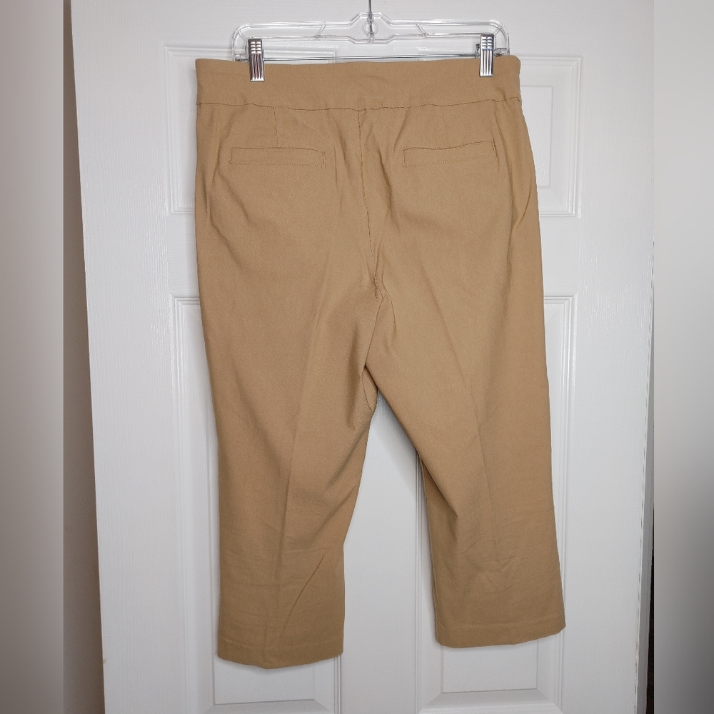 KIM ROGERS TUMMY CONTROL WIDE BAND WAIST STRETCH CAPRI PANTS, TAN 12 - Picture 2 of 6